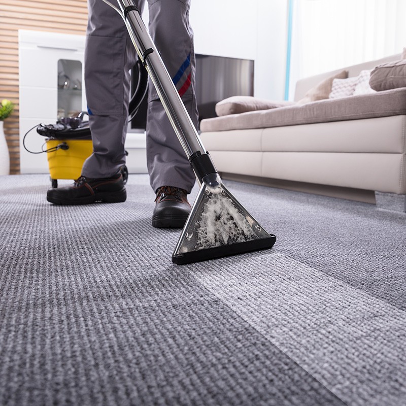 professional-carpet-cleaning | House of Carpet