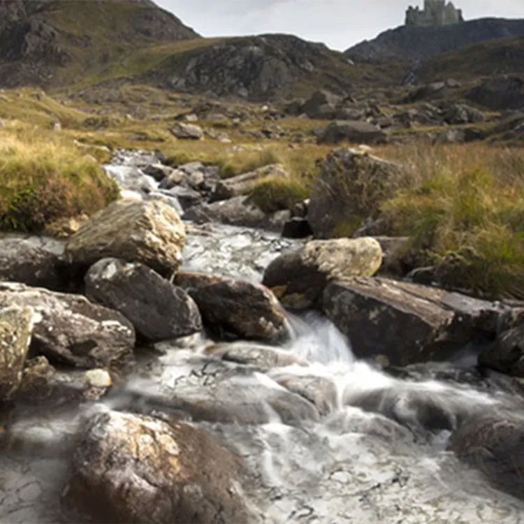 environment_bellingham_750x750